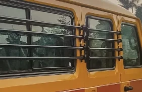 Horizontal Bars on Side Windows